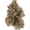 Bubble Pop Cake, tatlı aroması ve yüksek THC içeriğiyle öne çıkan Indica dominant bir türdür. Benzersiz genetik yapısını ve potansiyel faydalarını keşfedin.