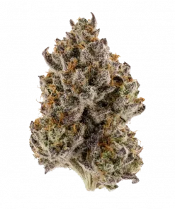 Bubble Pop Cake, tatlı aroması ve yüksek THC içeriğiyle öne çıkan Indica dominant bir türdür. Benzersiz genetik yapısını ve potansiyel faydalarını keşfedin.