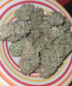 BubbleGum Auto Fem Esrar Tohumu (Fast Buds)