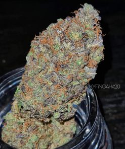 BubbleGum Auto Fem Esrar Tohumu (Fast Buds)