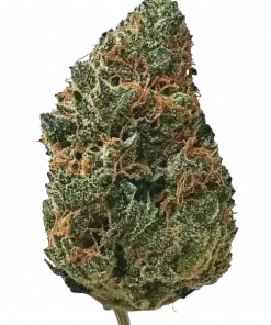 Bubblegum Gelato, tatlı bubblegum aroması ve rahatlatıcı etkileriyle öne çıkan Indica dominant bir türdür. Benzersiz deneyimi keşfedin ve detayları görüntüleyin.
