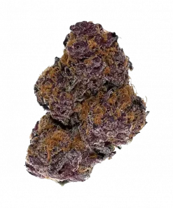 Buckeye Purple, tatlı meyve aromaları ve rahatlatıcı etkileriyle bilinen Indica baskın bir türdür. Depresyon ve inflamasyon için ideal. Özelliklerini keşfedin.