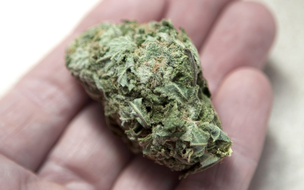 Bud (sömek) kenevir bitkisinin çiçeklerini ifade eden terimdir.