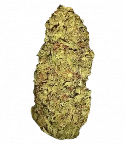 Bugatti, bal ve çam aromalı, THC içeren dengeli bir hibrit türdür. Öfori ve rahatlama sunar. Genetik yapısını keşfedin ve etkilerini görüntüleyin.