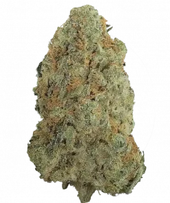 Burnt Sugar, karamel ve yakıtımsı notalarıyla öne çıkan dengeli bir hibrit türdür. Öforik etkileri ve genetik yapısını keşfedin, size özel olup olmadığını görüntüleyin.