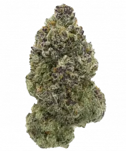 Butter Balm, yakıtımsı ve karamel aromalarıyla öne çıkan Indica dominant bir türdür. Yüksek verim ve reçine yoğunluğu sunar. Bu eşsiz türü keşfedin.