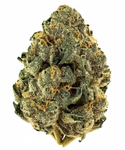 Buttermint Gelato, vanilya ve kremsi notalarıyla öne çıkan dengeli bir hibrit türdür. Yüksek THC içeriğiyle dikkat çeken bu türü keşfedin ve genetik yapısını görüntüleyin.