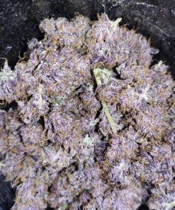 C4 Auto Fem Esrar Tohumu (Fast Buds)