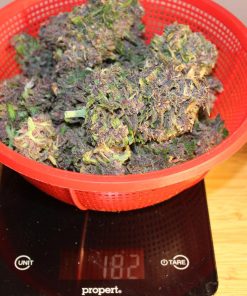 C4 Auto Fem Esrar Tohumu (Fast Buds)