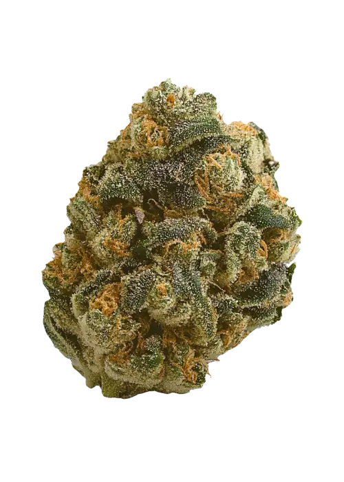 Cadillac Rainbow, tatlı meyve aroması ve rahatlatıcı etkisiyle bilinen Indica baskın türdür. Yüksek THC içeriğiyle öne çıkar. Genetik yapısını keşfedin.