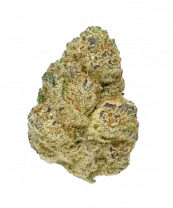 Cake Bomb, tatlı vanilya aroması ve yüksek THC içeriğiyle bilinen Indica dominant bir türdür. Enerjik etkileri ve potansiyel faydalarını keşfedin. Hemen görüntüleyin.