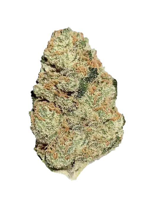 Cake Boss, tatlı vanilya aroması ve THC oranıyla öne çıkan Indica baskın bir türdür. Rahatlatıcı etkileriyle bilinen bu özel türü keşfedin.