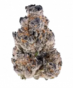 Cake Face, kremsi aroması ve yüksek THC içeriğiyle bilinen dengeli bir hibrit türdür. Spazmlara karşı potansiyel etkileriyle öne çıkar. Özelliklerini keşfedin.