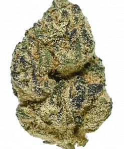 Cake Pop, vanilya aromaları ve yüksek THC içeriğiyle öne çıkan Indica dominant bir türdür. Canlandırıcı etkileriyle bilinir. Genetik yapısını keşfedin.