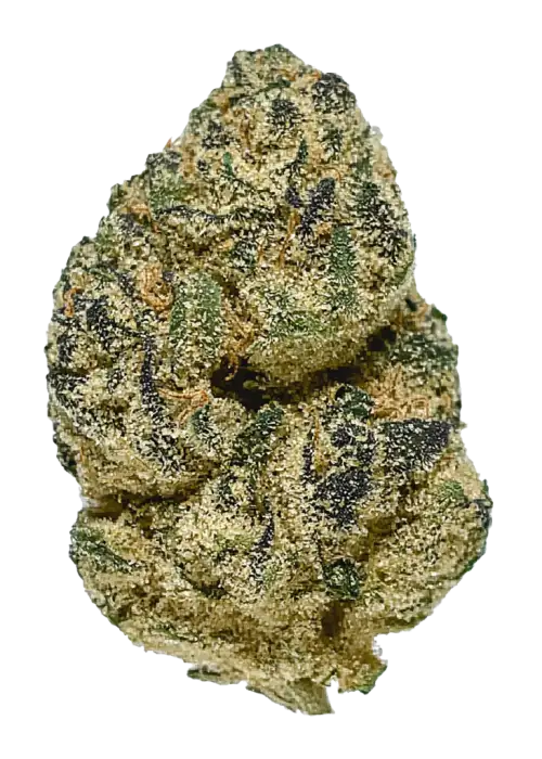 Cake Pop, vanilya aromaları ve yüksek THC içeriğiyle öne çıkan Indica dominant bir türdür. Canlandırıcı etkileriyle bilinir. Genetik yapısını keşfedin.