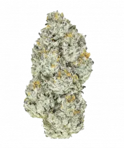 Caked Up Cherries, kremsi ve meyveli aromalarıyla öne çıkan Indica baskın bir türdür. THC ile gelen bu eşsiz deneyimi keşfedin ve genetik yapısını görüntüleyin.