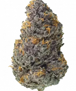 Cakes n Cream, vanilya aroması ve rahatlatıcı etkisiyle öne çıkan indica baskın bir türdür. Genetik yapısını ve potansiyel faydalarını keşfedin.