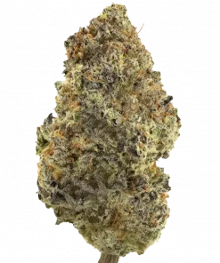 Cakez, benzersiz kek kreması aroması ve rahatlatıcı etkileriyle bilinen indica dominant bir türdür. Stres ve ağrı için ideal. Bu özel türü keşfedin.