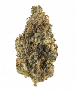 Cali Cali, tatlı meyve aromaları ve rahatlatıcı etkisiyle öne çıkan Indica dominant bir türdür. Yüksek verimi ve genetik yapısını keşfedin.