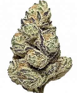 Cali Gas, sert yakıtımsı aroması ve THC içeriğiyle öne çıkan Indica dominant bir türdür. Bağımlılık yaratan lezzetini ve etkilerini keşfedin.