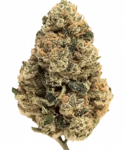 Cali Kush, eşsiz kahve ve narenciye aromaları ile bilinen Sativa baskın bir türdür. Rahatlatıcı etkileriyle öne çıkar. Cali Kush'ı keşfedin.