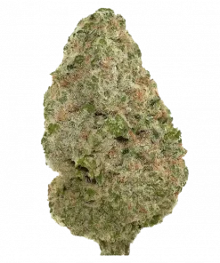 Cali OG, yakıtımsı aroması ve dengeli THC içeriğiyle öne çıkan indica baskın bir türdür. Rahatlatıcı etkileriyle bilinen bu türü keşfedin.