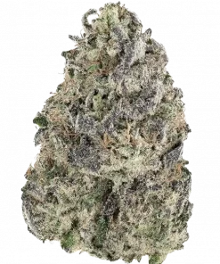 California Cream, karamel aroması ve THC oranıyla öne çıkan indica baskın türdür. Ağrı ve stresi azaltan etkilerini keşfedin.