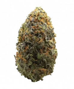 California Haze, çilek aromaları ve yüksek THC içeriğiyle bilinen Sativa dominant bir türdür. Enerji verici ve yaratıcılığı tetikleyici etkilerini keşfedin.
