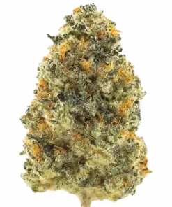 Calypso Sunrocks, ananas aromalı ve THC'li güçlü bir hibrit türüdür. Dengeli etkileriyle öne çıkar. Bu eşsiz türü keşfedin ve detaylıca görüntüleyin.