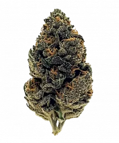 Candy Apple, tatlı elma aroması ve enerji veren etkileriyle öne çıkan sativa baskın bir türdür. Yaratıcılığı artırıcı bu türü hemen keşfedin.