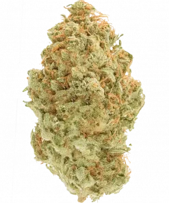 Candy Apple Haze, tatlı elma ve ananas aromalarıyla öne çıkan sativa baskın bir türdür. Odaklanma ve motivasyonu artırıcı etkilerini keşfedin. Hemen görüntüleyin.