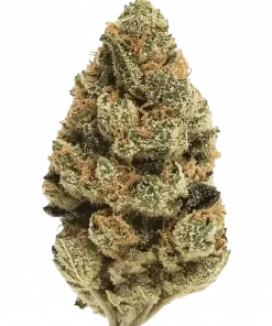 Candy Cane, nanemsi aroması ve rahatlatıcı etkisiyle bilinen Indica baskın bir türdür. AK-47 genetiğiyle gelen bu eşsiz türü keşfedin.