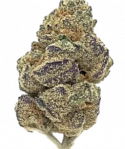 Candy Chrome, tatlı aroması ve THC içeriğiyle öne çıkan dengeli bir hibrit türüdür. Canlandırıcı ve rahatlatıcı etkilerini keşfedin.