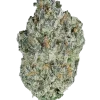 Candy Coated, tatlı aroması ve dengeli etkileriyle öne çıkan indica baskın bir türdür. Stres ve kaygı için ideal. Genetik yapısını keşfedin.