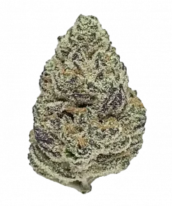 Candy Crush, tatlı meyve aromaları ve yüksek THC içeriğiyle bilinen Indica dominant bir türdür. Uykusuzluk ve ağrı tedavisinde potansiyelini keşfedin. Hemen görüntüleyin.