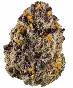 Candy Packz, tatlı ve yakıtımsı aromaları ile öne çıkan indica baskın bir türdür. Yüksek THC içeriğiyle dikkat çeker. Genetik yapısını keşfedin ve görüntüleyin.