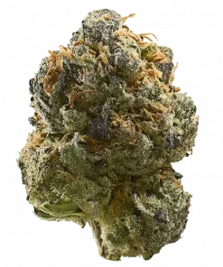 Candy Paint, yakıtımsı aroması ve dengeli etkisiyle öne çıkan bir hibrit türdür. Stres ve ağrı için ideal. Genetik yapısını keşfedin ve detayları görüntüleyin.