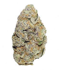 Candy Rain, tatlı meyve aromaları ve rahatlatıcı etkileriyle bilinen indica dominant bir türdür. London Pound Cake genetiğiyle keşfedin ve keyfini çıkarın.