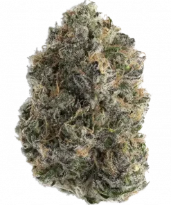 Candy Store RBX, yakıtımsı ve meyvemsi aromalarıyla öne çıkan dengeli bir hibrit türdür. Anksiyete ve iştah sorunları için ideal. Genetik yapısını keşfedin.