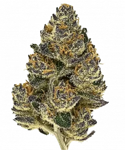 CandyGaz, tatlı aroması ve yüksek THC içeriğiyle bilinen Indica dominant bir türdür. Yoğun rahatlama ve uyku için ideal. Özelliklerini keşfedin.