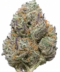 Candyland, meyvemsi aromaları ve enerji veren Sativa etkisiyle bilinen popüler bir türdür. Platinum Cookies genetiğini keşfedin ve eşsiz deneyimi görüntüleyin.