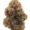 Cannalope Haze, tatlı kavun aroması ve yüksek THC içeriğiyle bilinen Sativa baskın bir türdür. Enerji verici etkileriyle öne çıkar. Özelliklerini keşfedin.