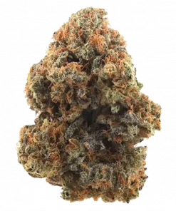 Cannalope Haze, tatlı kavun aroması ve yüksek THC içeriğiyle bilinen Sativa baskın bir türdür. Enerji verici etkileriyle öne çıkar. Özelliklerini keşfedin.