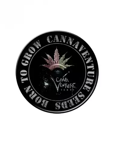 Cannaventure Seeds