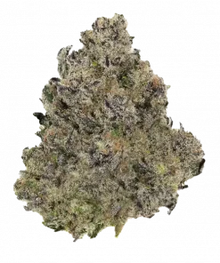 Capital Haze, turunçgil aromaları ve yüksek enerjisiyle bilinen sativa baskın bir türdür. Yaratıcılığı artıran etkilerini keşfedin ve hemen görüntüleyin.