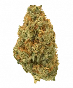 Caps Frozen Lemons, kimyasal limon aroması ve yüksek THC içeriğiyle öne çıkan Sativa baskın bir türdür. Enerji veren etkilerini ve genetik yapısını keşfedin.