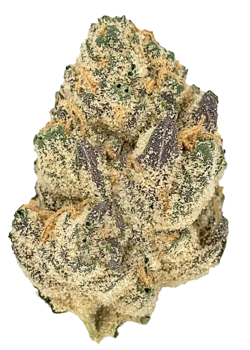 Captain Crush, tatlı aroması ve rahatlatıcı etkileriyle bilinen Indica baskın bir türdür. Anksiyete ve uykusuzluğa iyi gelir. Özelliklerini keşfedin.