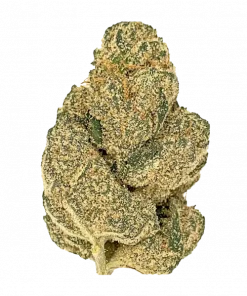 Captain Jack, tatlı narenciye aromaları ve THC oranıyla öne çıkan dengeli bir hibrit türdür. Ağrı ve stresi azaltan bu türün genetik yapısını keşfedin.