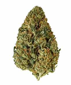 Cream Caramel, bal ve fındık aromalarıyla öne çıkan indica baskın bir türdür. Yüksek THC içeriğiyle rahatlatıcı etkilerini keşfedin ve genetik yapısını görüntüleyin.