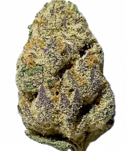 Karbon Şeker, üzüm aroması ve dengeli etkisiyle öne çıkan hibrit bir türdür. Mutluluk ve rahatlama sunar. Genetik yapısını keşfedin ve detayları görüntüleyin.